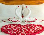 فندق إتش دبي يكشف عن باقات عيد الحب خلال شهر فبراير